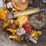 Дві порції грибів на тиждень в рази скорочують ризик недоумства в старості