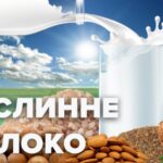 Які корисні властивості рослинного молока – Здоровʼя 24