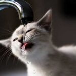 На Кіровоградщині відновили водопостачання, але пити з-під крана не варто