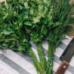 Що корисніше – петрушка чи кріп: лікарі дали однозначну відповідь