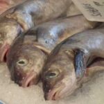 Скільки можна зберігати рибу в морозилці: як правильно заморозити, щоб зберегти смак