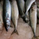 Прості способи швидко розморозити рибу без втрати цінних якостей