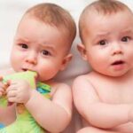 Народилися близнюки-богатирі