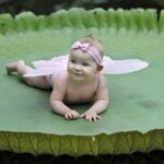 Малюки вміють дивувати (фото)