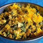 Рецепт приготування домашнього вина з кульбаби