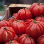 Лікар із Великої Британії назвав 5 продуктів, які захищають від онкології та борються зі злоякісними...