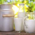 10 фактів про молоко, які ви могли не знати