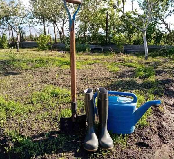 Дачникам підказали способи убезпечити себе під час роботи на городі