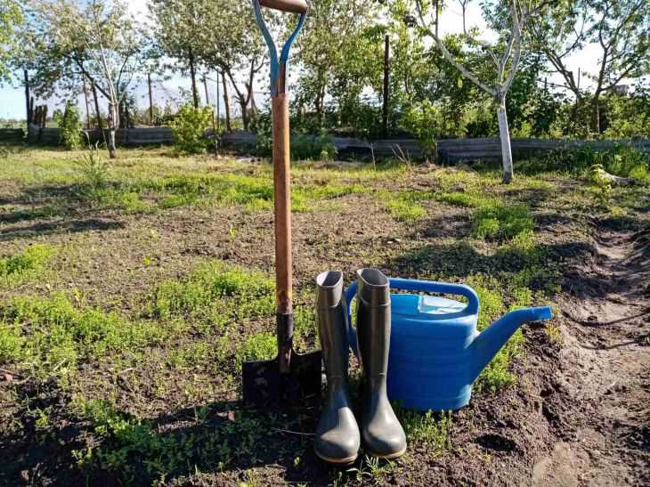 Дачникам підказали способи убезпечити себе під час роботи на городі огород