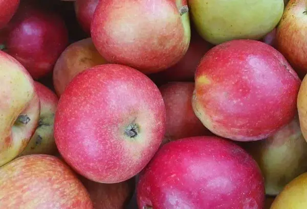 Чи не знаєте, що з'їсти на сніданок? Тільки цей продукт додасть вам бадьорості на весь день, навіть якщо ви вже пенсіонер