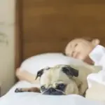 Науковці визначили вік з найкоротшим та найдовшим сном.