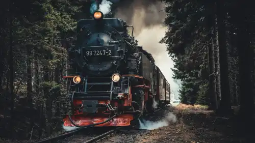 Чому машиністи зазвичай рано йдуть з життя?