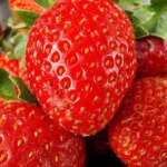 Названі продукти, що допомагають вивести токсини