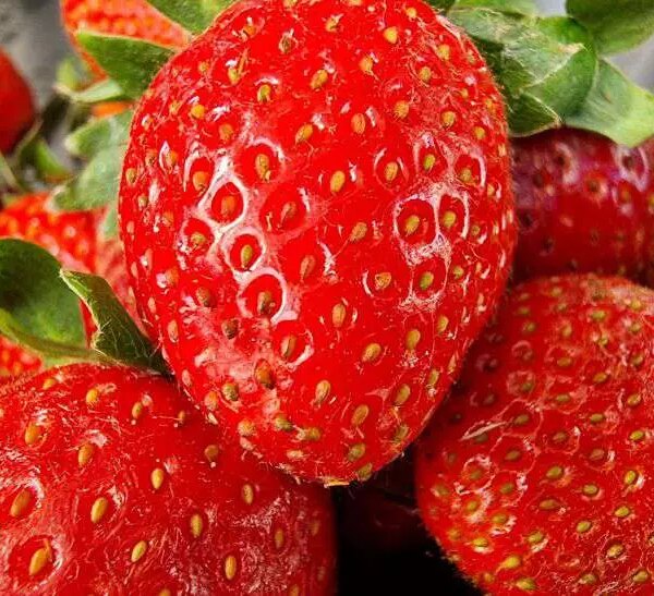 Названі продукти, що допомагають вивести токсини
