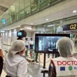 Азія посилює санітарні заходи через новий вірус від летючих мишей та свиней.