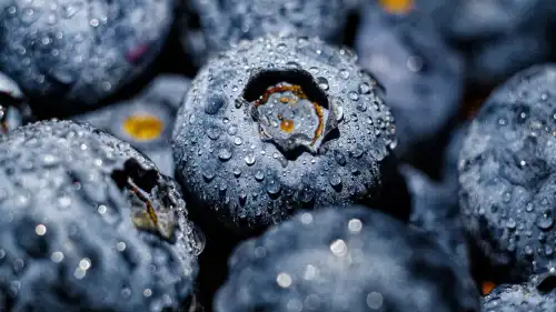 Ожина: секрет користі для серця і мозку, який відкрили…