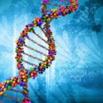 AlphaGenome від DeepMind: Розгадано темний геном людини