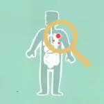 Вчені виявили таємний транспортний механізм у клітинах.