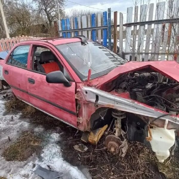 У Дятлово батько дав юному синові проїхати чужим…