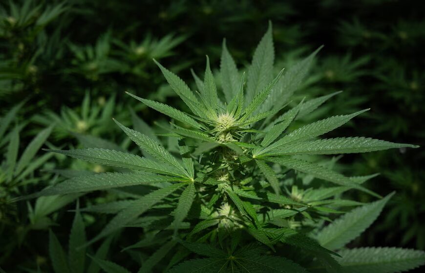 Т.в.о. головного прокурора Тодд Бланш видав указ про зміну класифікації&hellip;