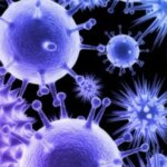 Фінляндія посилює захист: вірус Андів отримає статус особливо небезпечного