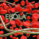 Експерти готуються випробувати вакцину проти рідкісного штаму Еболи: чого очікувати
