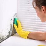 Як позбутися цвілі та грибка у квартирі: ефективні методи та запобігання появі