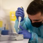 В Австралії виявили першу інфіковану H5N1 дику морську птицю: що це означає