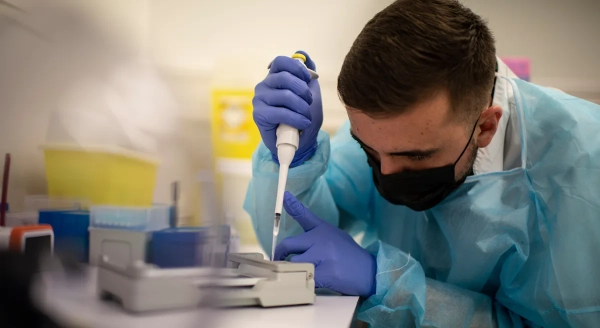 Австралія: Зафіксовано перший випадок H5N1 у місцевого морського птаха