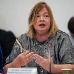 Лізинг літаків: чому він не роялті, а послуга транспортування — пояснює Тетяна Шевцова