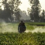 Чому страхові компанії відмовляються оплачувати ефективне знеболення при раку